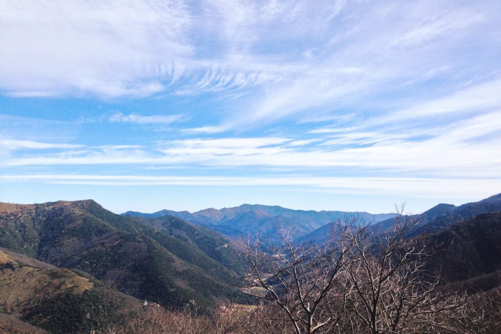 Processed with VSCOcam with k2 preset